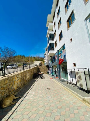 Tunceli Bilgi Denizi Özel Öğretim Kursu Tunceli Bilgi Denizi Özel Öğretim Kursu