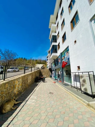 Tunceli Bilgi Denizi Özel Öğretim Kursu Tunceli Bilgi Denizi Özel Öğretim Kursu