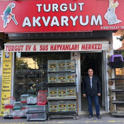Turgut Akvaryum profile