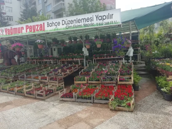 Uşak Yağmur Peyzaj Uşak Yağmur Peyzaj