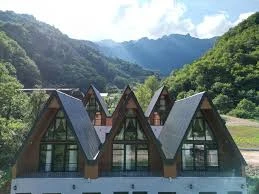 Uzungöl Tiny House Uzungöl Tiny House