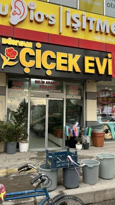 Van Dünyam Çiçek Van Dünyam Çiçek