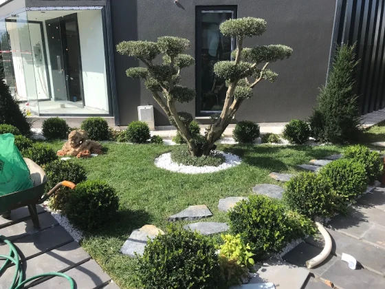 Ventus Peyzaj Ve Tasarım Ofisi Ventus Peyzaj Ve Tasarım Ofisi