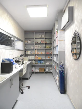 Vet Çizmeli Kedi Çekmeköy Veteriner Kliniği Vet Çizmeli Kedi Çekmeköy Veteriner Kliniği