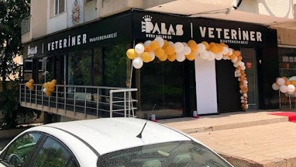 Vetpalas Veteriner Kliniği 7/24 Acil Veteriner Vetpalas Veteriner Kliniği 7/24 Acil Veteriner