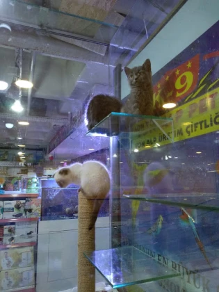 Von Alp Pet Shop Von Alp Pet Shop