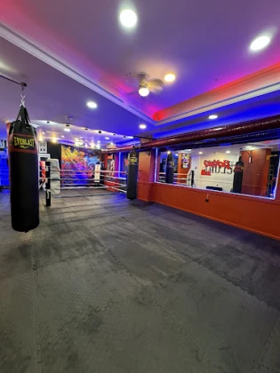 Warrıor Fıght Club (Savaşçı Dövüş Kulübü) Warrıor Fıght Club (Savaşçı Dövüş Kulübü)