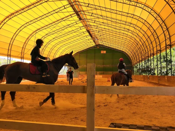 Yalova Atlı Spor Kulübü Yalova Atlı Spor Kulübü