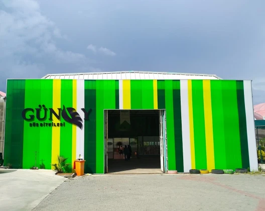 Yalova Güney Çiçekçilik Yalova Güney Çiçekçilik