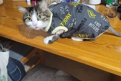 Yenimahalle Veteriner Kliniği Yenimahalle Veteriner Kliniği