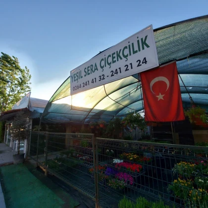 Yeşil Sera Çiçekçilik Yeşil Sera Çiçekçilik