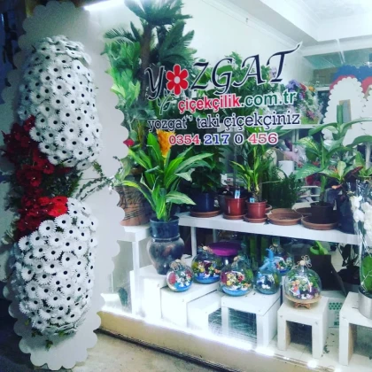 Yozgat Çiçekçilik Yozgat Çiçekçilik