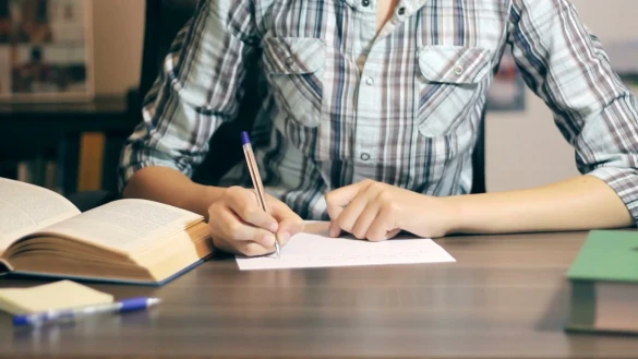 Zeytül Education Zeytül Education