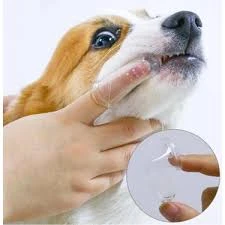 Zuzu Pet Kuaför - Diyarbakır Pet Kuaför Zuzu Pet Kuaför - Diyarbakır Pet Kuaför