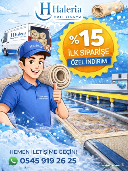 Haleria Halı Yıkama