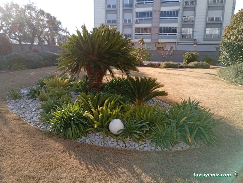 Uzman Telçit Peyzaj