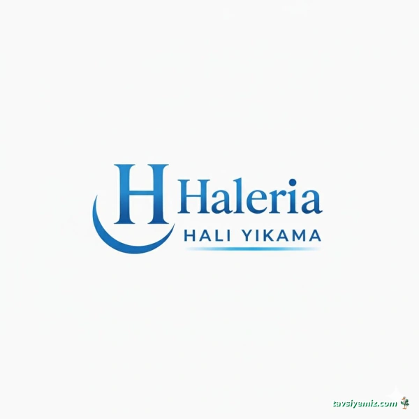 Haleria Halı Yıkama