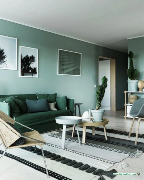 Tozlu Renkler Boya/Badana