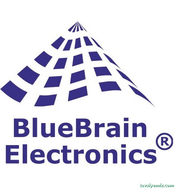 Bluebrain Electronics Bluebrain Electronics
