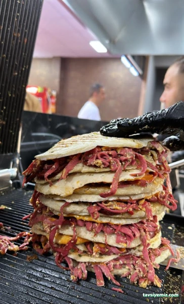 Tostolog Bingöl Tostolog Bingöl