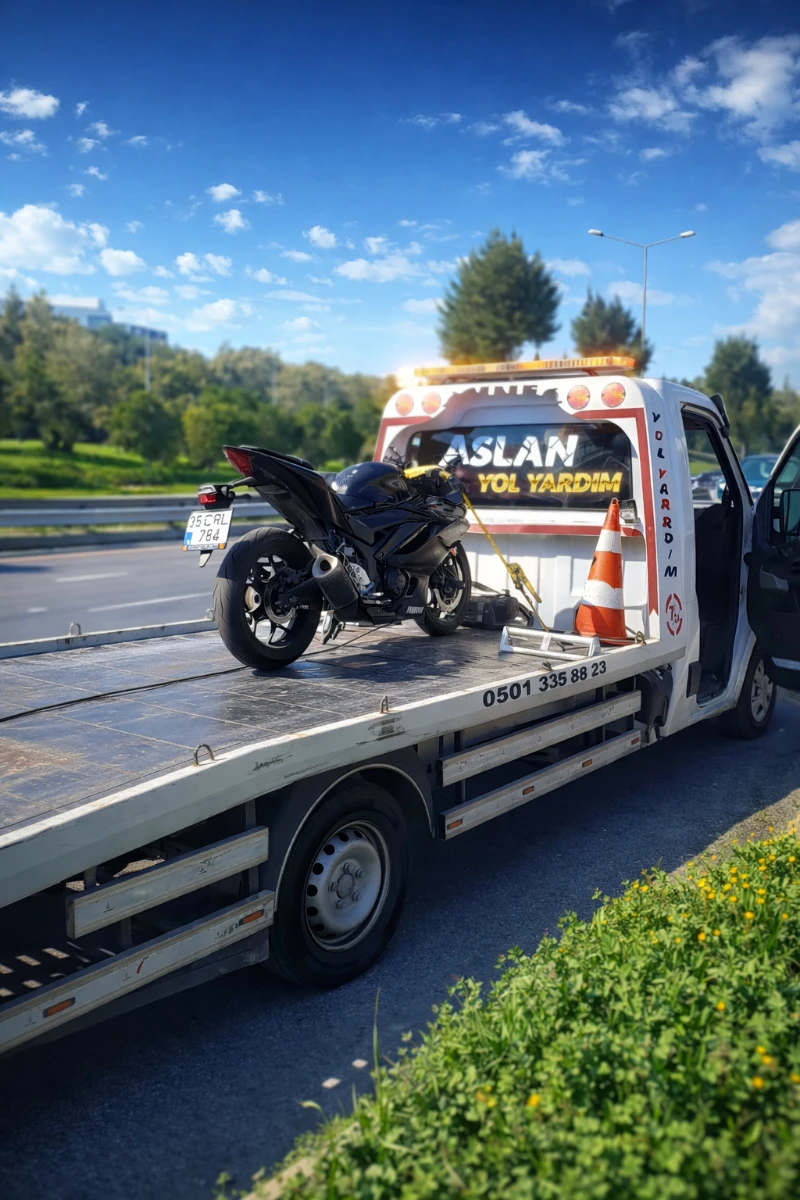 Aslan Oto Kurtarıcı