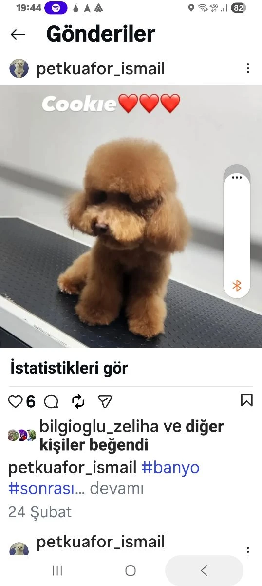 Pet Kuaför İsmail Yılan