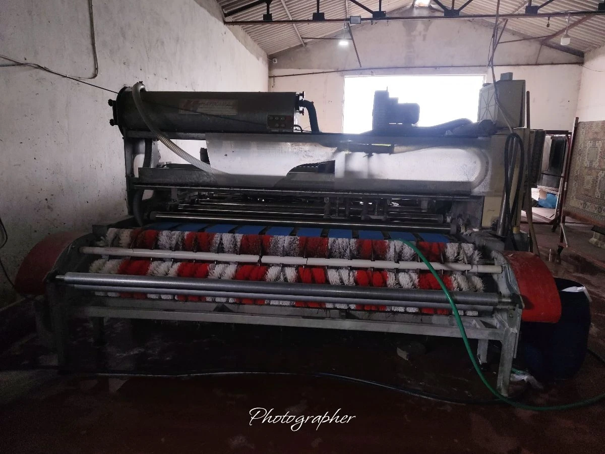 Balıkesir Bal Detay Halı Yıkama