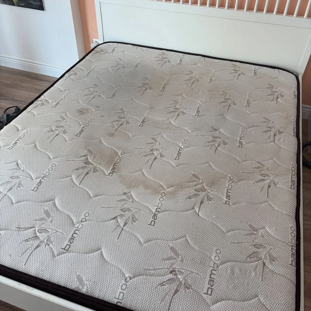 Platin Koltuk Ve Halı Yıkama