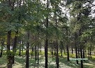 Bahçelievler Şeyh Zayed Çocuk Evleri Sitesi Bahçelievler Şeyh Zayed Çocuk Evleri Sitesi