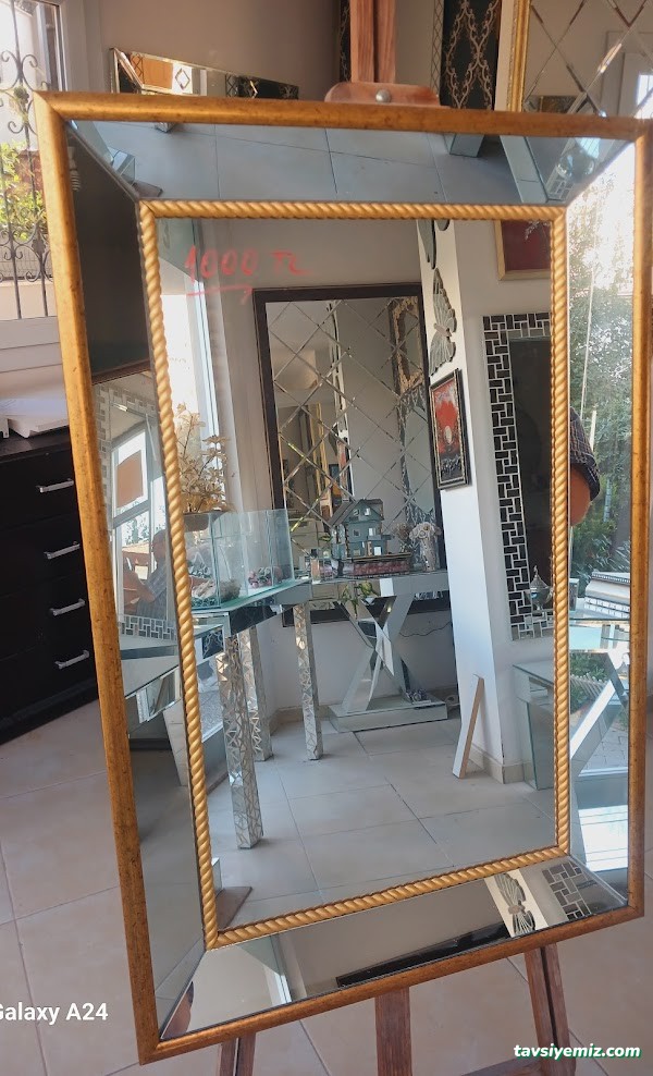 Çınar Camcı