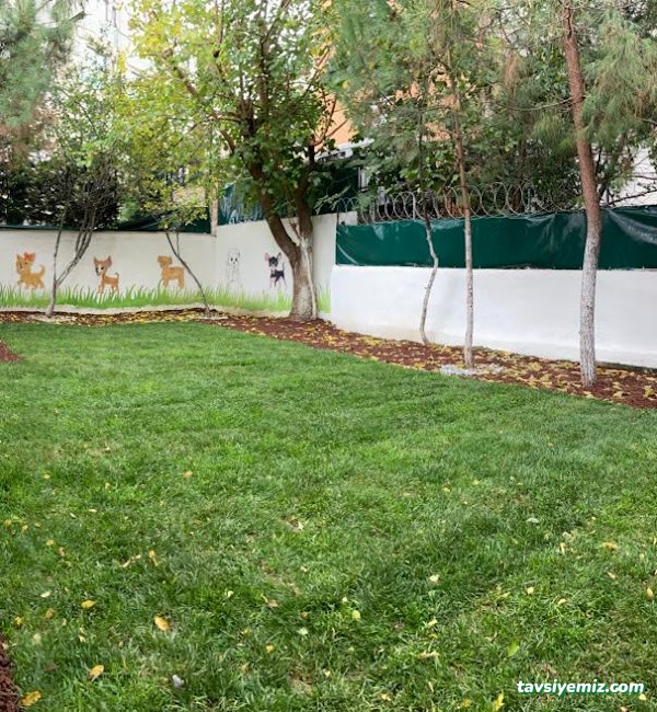 Keyifli Patim | Köpek Oteli | Köpek Pansiyonu | Pet Otel Keyifli Patim | Köpek Oteli | Köpek Pansiyonu | Pet Otel