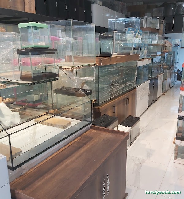Bursa Cihan Akvaryum & Petshop Bursa Cihan Akvaryum & Petshop