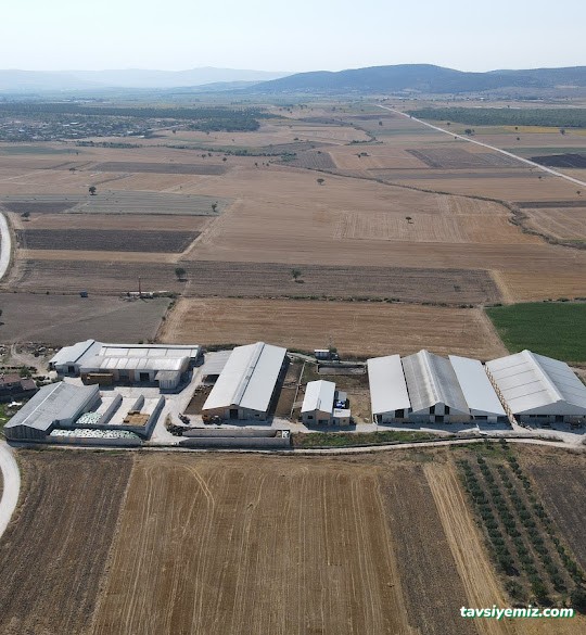 Drone Çekimleri