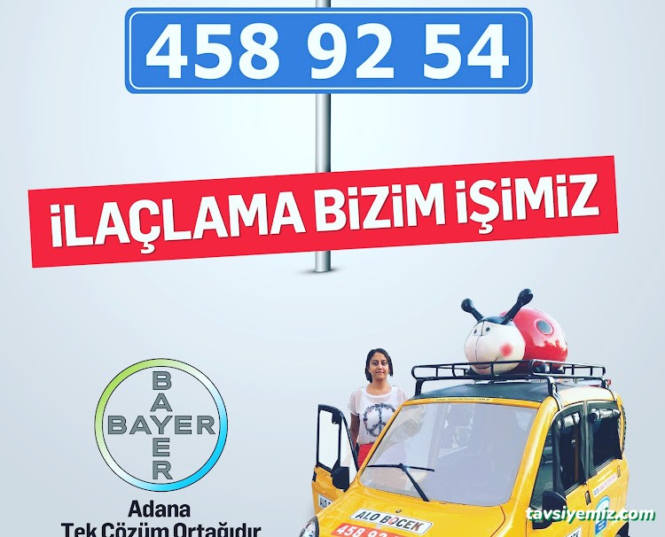 Fidas İlaçlama | Alo Böcek | Adana Haşere Ve Böcek İlaçlama Firması Fidas İlaçlama | Alo Böcek | Adana Haşere Ve Böcek İlaçlama Firması
