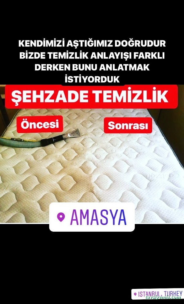 Şehzade Temizlik