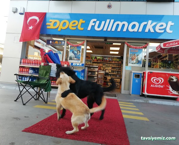 Opet Alternatif Petrol Opet Alternatif Petrol