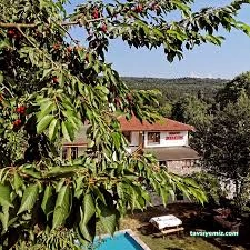 Abant Hayalim Butik Otel Abant Hayalim Butik Otel