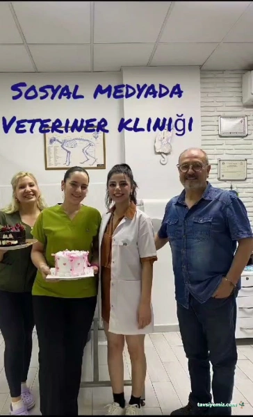 Adana Denizpet Veteriner Kliniği/Yeşilyurt/Baraj Yolu Adana Denizpet Veteriner Kliniği/Yeşilyurt/Baraj Yolu
