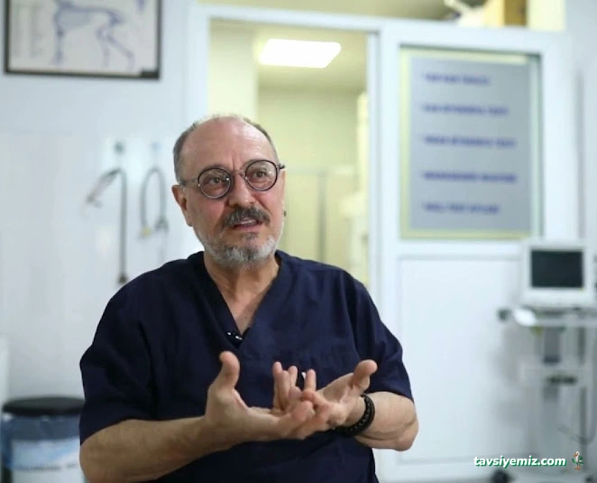 Adana Denizpet Veteriner Kliniği/Yeşilyurt/Baraj Yolu Adana Denizpet Veteriner Kliniği/Yeşilyurt/Baraj Yolu