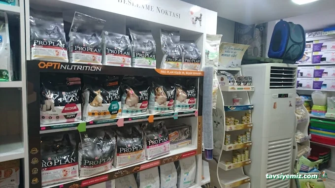 Adana Terapi Hayvan Hastanesi Adana Terapi Hayvan Hastanesi