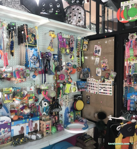 Adel Pet Shop Adel Pet Shop