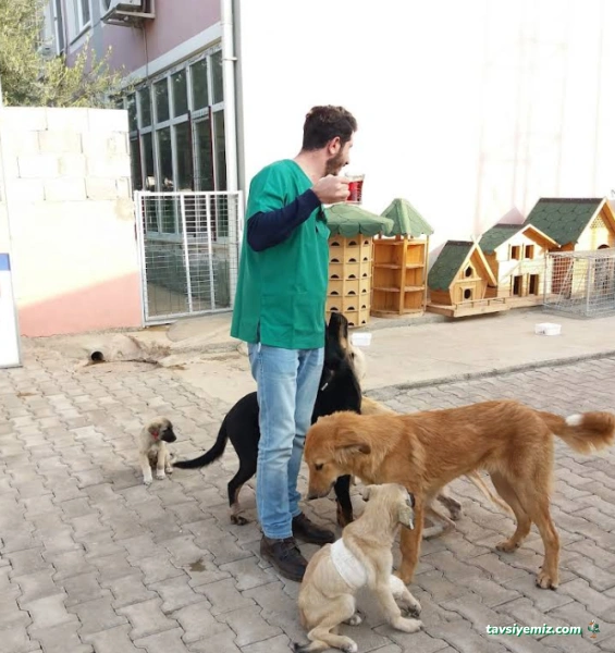 Adıyaman Belediyesi Veteriner Müdürlüğü