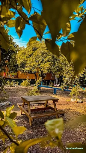 Adrasan Rengarenk Bungalov Evleri | Adrasan Bungalov Adrasan Rengarenk Bungalov Evleri | Adrasan Bungalov