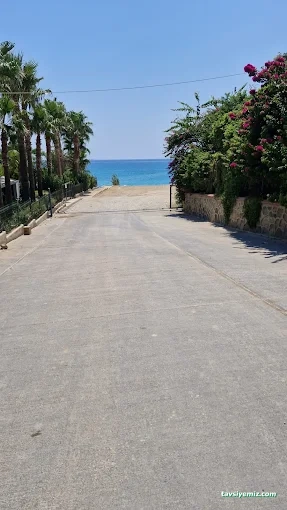 Ağaçlı Dinlenme Tesisi Ağaçlı Dinlenme Tesisi