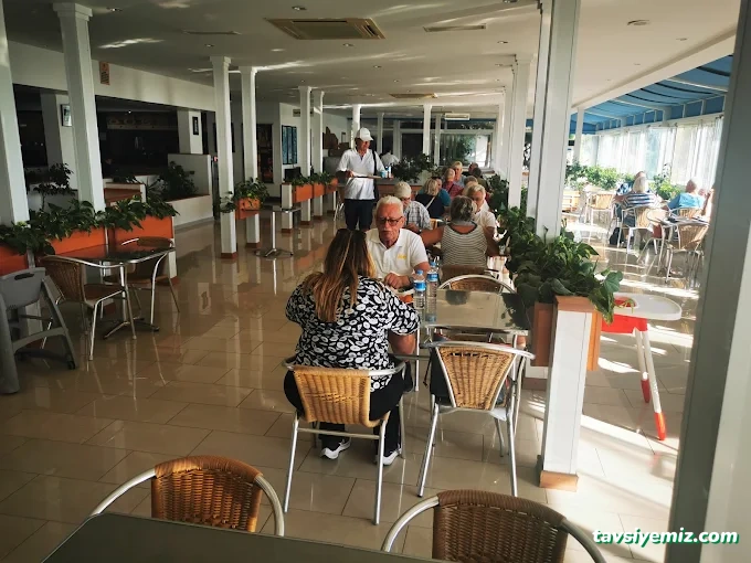 Ağaçlı Dinlenme Tesisi Ağaçlı Dinlenme Tesisi