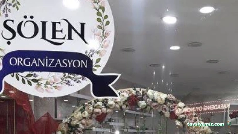 Agri Solen Kina Organizasyon