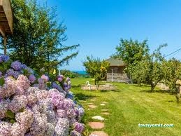 Ağva Teras Garden Otel & Bungalov Ağva Teras Garden Otel & Bungalov