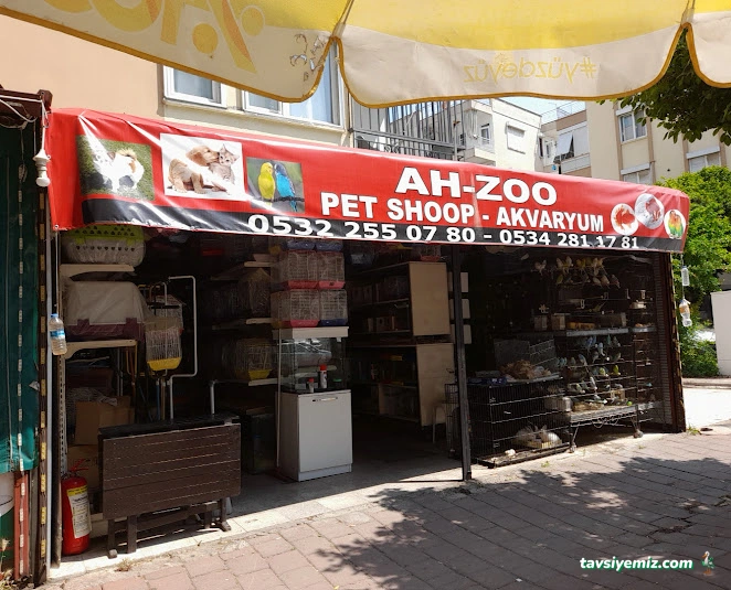 Ah-Zoo Petshop Akvaryum Ah-Zoo Petshop Akvaryum