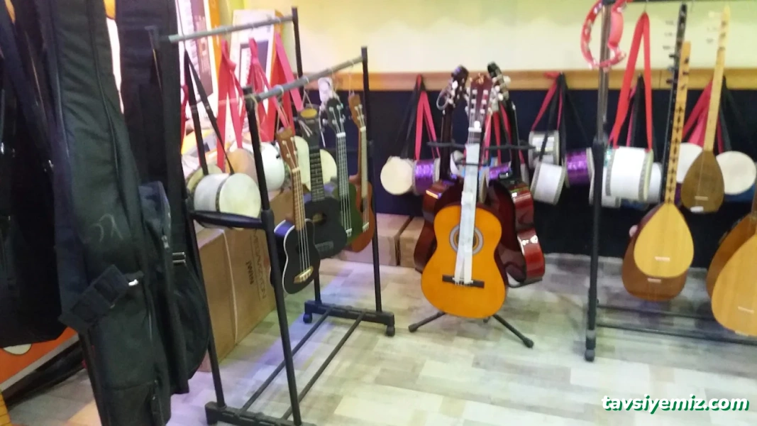 Akademi Müzik