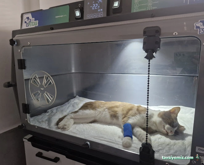 Akçay Veteriner Kliniği Akçay Veteriner Kliniği